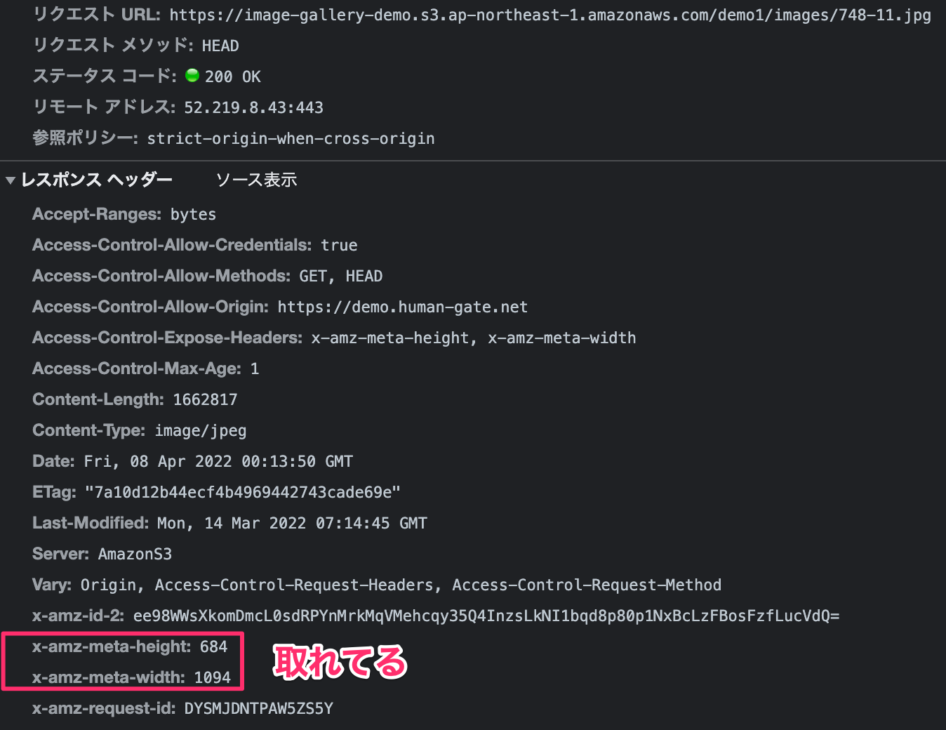 S3 のオブジェクトメタデータを HeadObject で取得するには